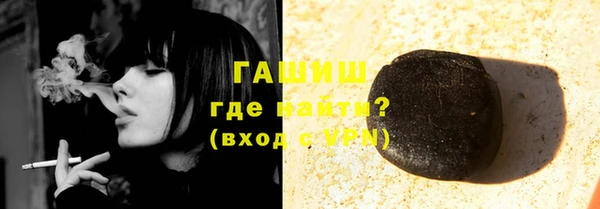 прущие грибы Абаза