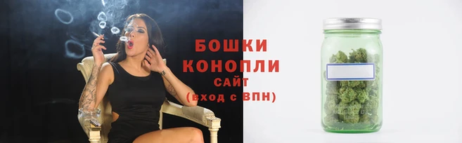 PSILOCYBIN Сосновка
