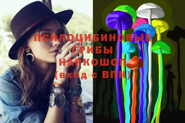 крисы Алексин