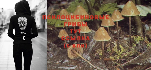 ECSTASY Алзамай