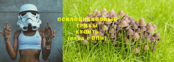 ECSTASY Алзамай