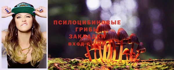 крисы Алексин