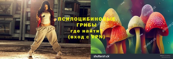 ECSTASY Алзамай